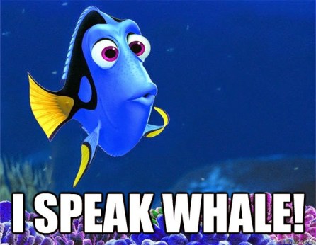 i-speak-whale