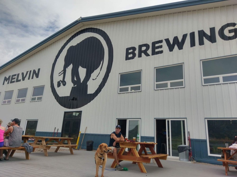 FB_IMG_1499033504807